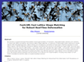 fastlsm.com