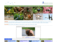 naturefocusthailand.com