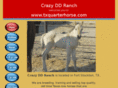 txquarterhorse.com