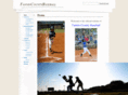 fannincountybaseball.org