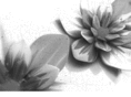hubtrax.com