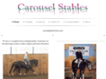 carouselpainthorses.com