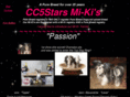 cc5starsmi-kis.com