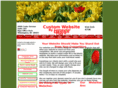 customwebsitesdesigner.com