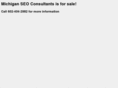 michigan-seoconsultants.com
