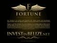 investinbelize.net