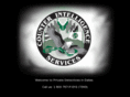 privateinvestigatorsdallas.com