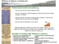 wellnessinbalance.com