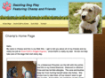 dazzlingdogplay.com