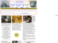mynavajosilversmith.net