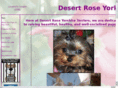 desertroseyorkies.com