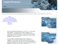 gadgetwholesalers4u.com