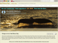 halfmoonbayactivities.com