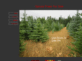 sprucetreesforsale.com