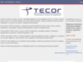 tecor-system.com