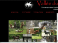 valleedubezu.com