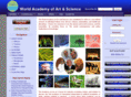worldacademy.org