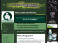 froglubeclp.com