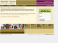 bacustomerservice.com