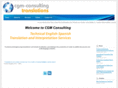 cgm-consulting.net