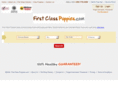 firstclasspuppies.com