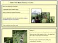 floridacostaricatours.com