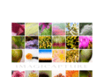 imagicapture.com