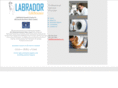 labradortalent.com
