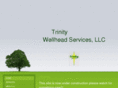 trinitywellhead.com