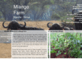 mlango.org