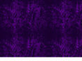 purpledragonsmartialarts.com