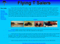 flyingtsalers.com