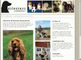 hundpensionatet.info