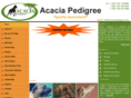 acaciapedigree.com