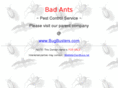 badants.com