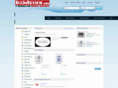 bizinreview.com