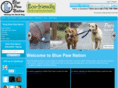 bluepawnation.com