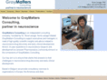 graymatters-consulting.com