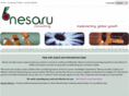 nesaru.com