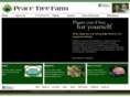 oneearthbegonias.com