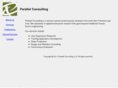 parallel-consulting.com