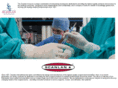 scanlangroup.com