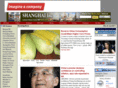 shanghaiinc.com