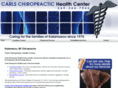 carlschiropractic.com