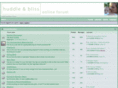 huddleandblissbabyforum.com