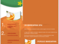 shmandarinaspa.com