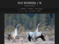 ulfrisberg.com