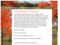 customsingingtelegrams.com