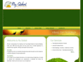 flyglobaltours.com