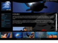oceansenseproductions.com
